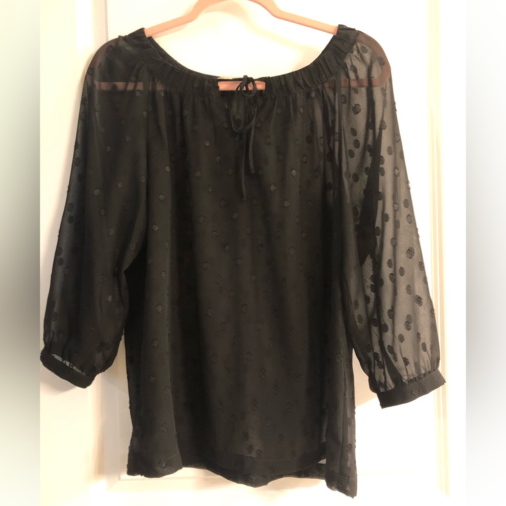 Ann Taylor Loft Sheer Polka Dot Blouse